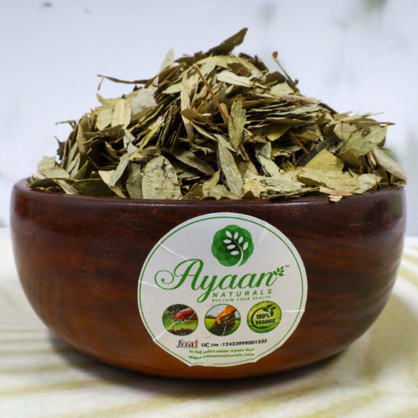 organic-senna-dried-leaf