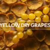 Close-up view of Yellow Dry Grapes with a few fresh yellow grapes, showcasing their texture and golden hue.