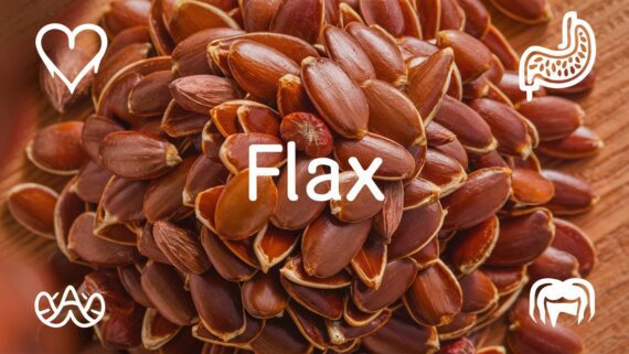 collection of flax seeds